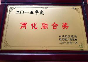 年度两化融合奖